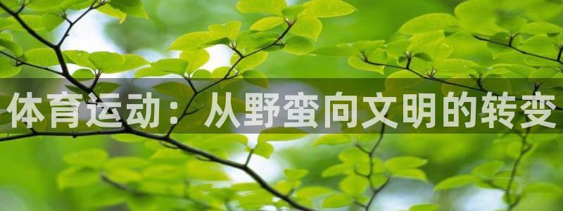 JJB竞技宝官网下载是干嘛的公司:体育运动:从野蛮向文明的转