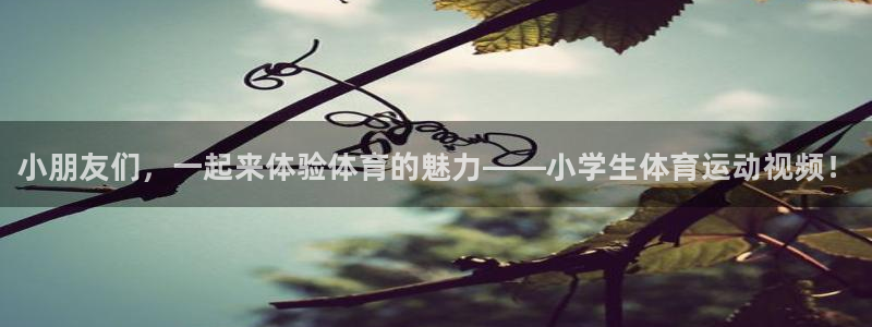 JJB竞技宝官网下载平台注册流程视频:小朋友们,一起来体验体