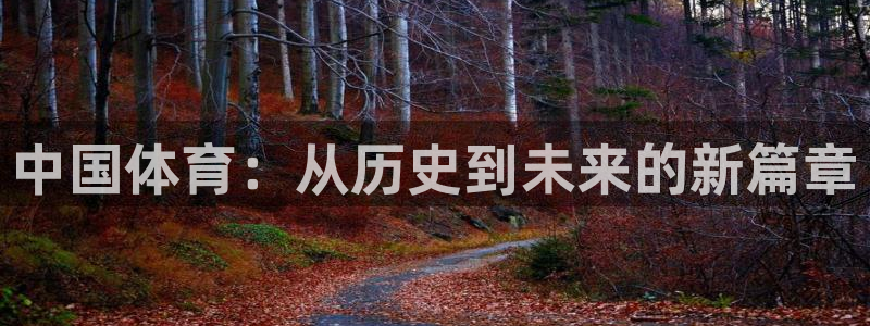 JJB竞技宝官网下载:中国体育:从历史到未来的新篇章